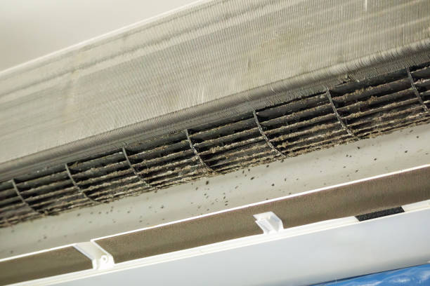 Best Ductwork Cleaning Services  in Kingston, PA